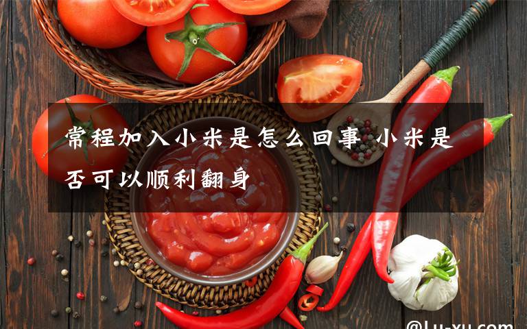 常程加入小米是怎么回事 小米是否可以顺利翻身文章配图