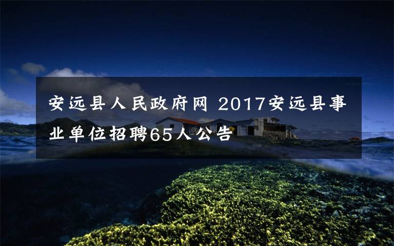 安远县人民政府网 2017安远县事业单位招聘65人公告