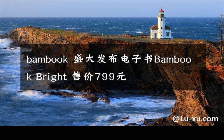 bambook 盛大发布电子书Bambook Bright 售价799元