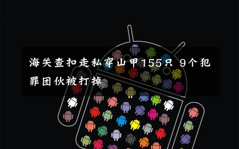 海关查扣走私穿山甲155只 9个犯罪团伙被打掉