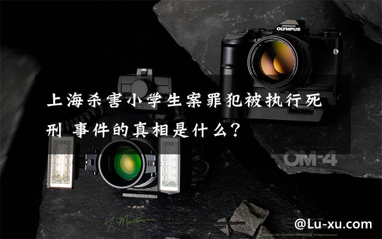 上海杀害小学生案罪犯被执行死刑 事件的真相是什么？