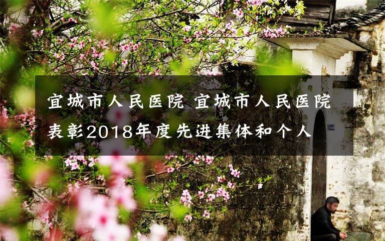 宜城市人民医院 宜城市人民医院表彰2018年度先进集体和个人