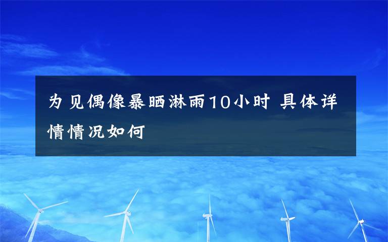 为见偶像暴晒淋雨10小时 具体详情情况如何