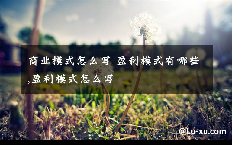 商业模式怎么写 盈利模式有哪些,盈利模式怎么写文章配图
