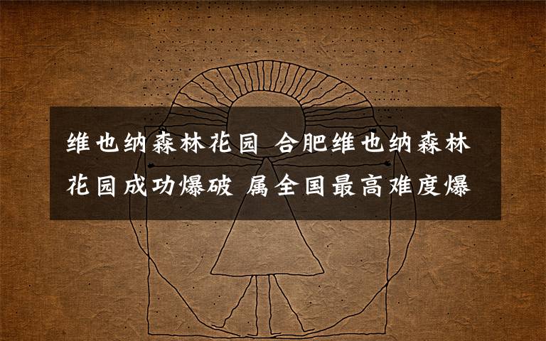 维也纳森林花园 合肥维也纳森林花园成功爆破 属全国最高难度爆破