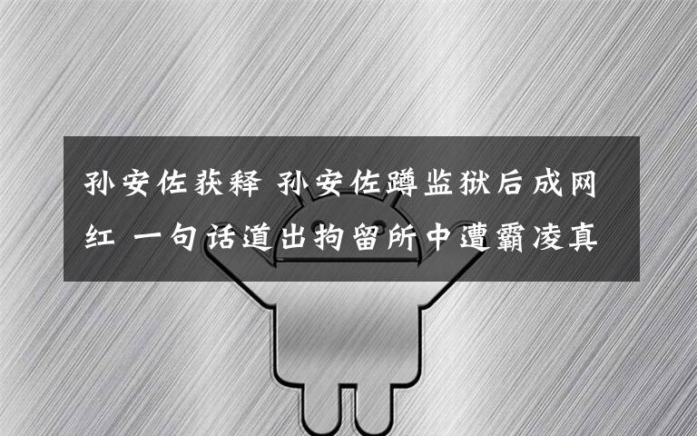 孙安佐获释 孙安佐蹲监狱后成网红 一句话道出拘留所中遭霸凌真相