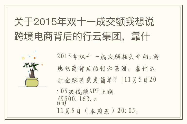 关于2015年双十一成交额我想说跨境电商背后的行云集团，靠什么让全球买卖更简单？|央视频上线