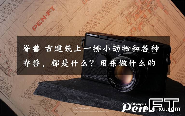 脊兽 古建筑上一排小动物和各种脊兽，都是什么？用来做什么的？