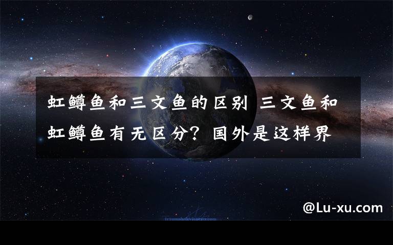 虹鳟鱼和三文鱼的区别 三文鱼和虹鳟鱼有无区分？国外是这样界定的