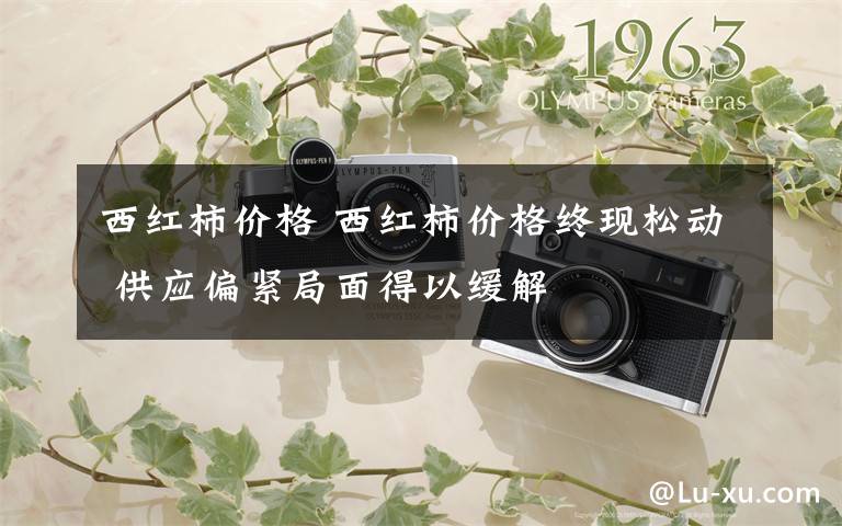 西红柿价格 西红柿价格终现松动 供应偏紧局面得以缓解文章配图