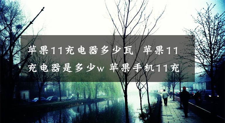 苹果11充电器多少瓦 苹果11充电器是多少w 苹果手机11充电器是多少瓦的