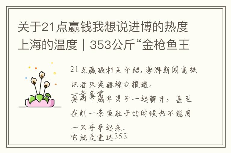 关于21点赢钱我想说进博的热度上海的温度｜353公斤“金枪鱼王”今日开鱼