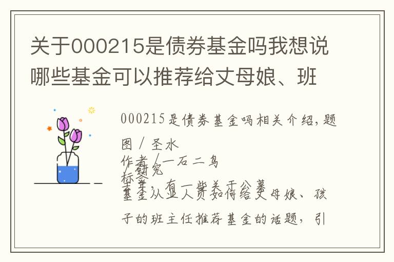 关于000215是债券基金吗我想说哪些基金可以推荐给丈母娘、班主任