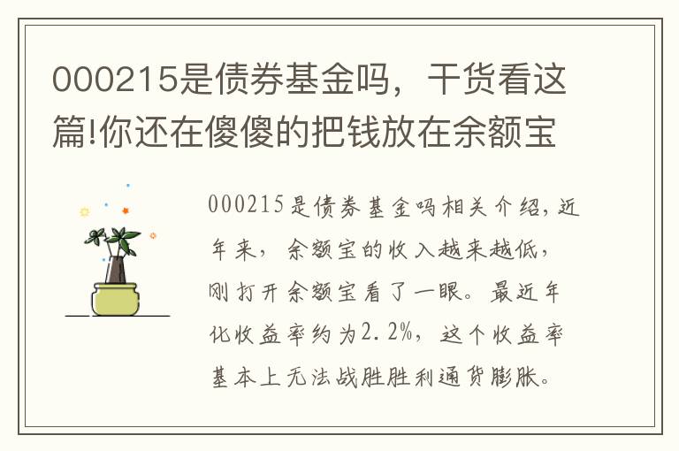 000215是债券基金吗，干货看这篇!你还在傻傻的把钱放在余额宝吗，这5只基金收益稳风险低收益超6%