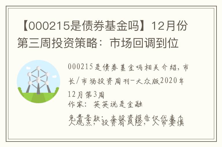 【000215是债券基金吗】12月份第三周投资策略：市场回调到位，把握阶段性行情机会