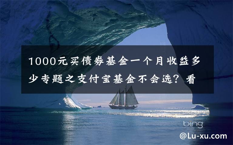 1000元买债券基金一个月收益多少专题之支付宝基金不会选？看我这篇就够了