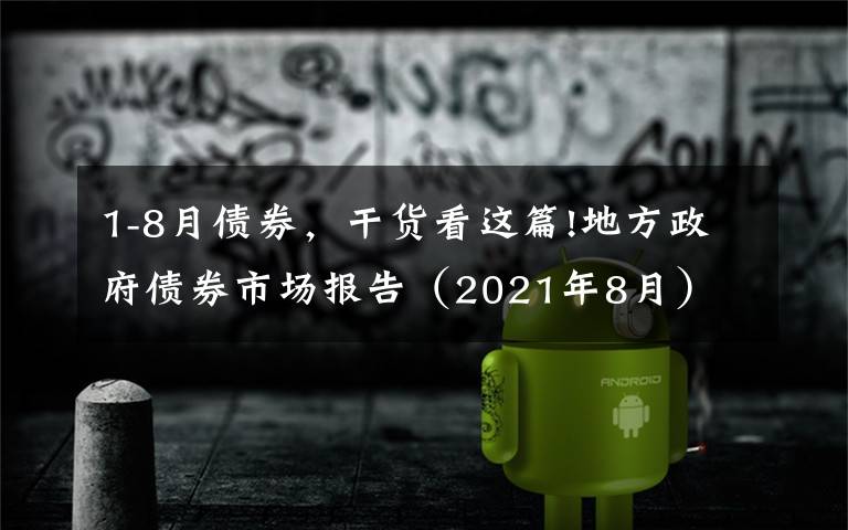 1-8月债券，干货看这篇!地方政府债券市场报告（2021年8月）