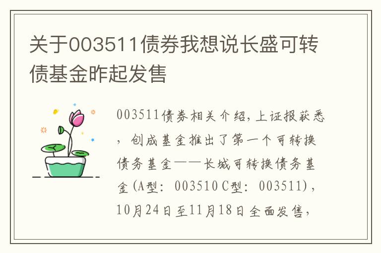 关于003511债券我想说长盛可转债基金昨起发售