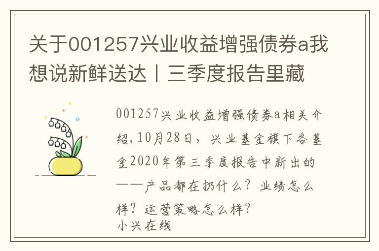 关于001257兴业收益增强债券a我想说新鲜送达〡三季度报告里藏着怎样的投资奥义？