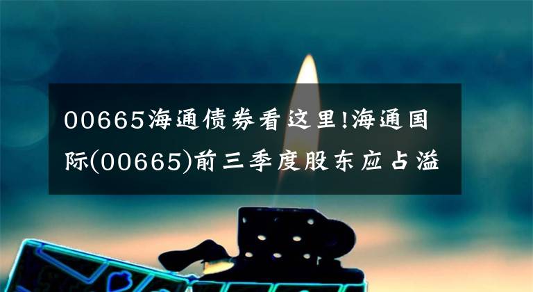 00665海通债券看这里!海通国际(00665)前三季度股东应占溢利11.5亿港元