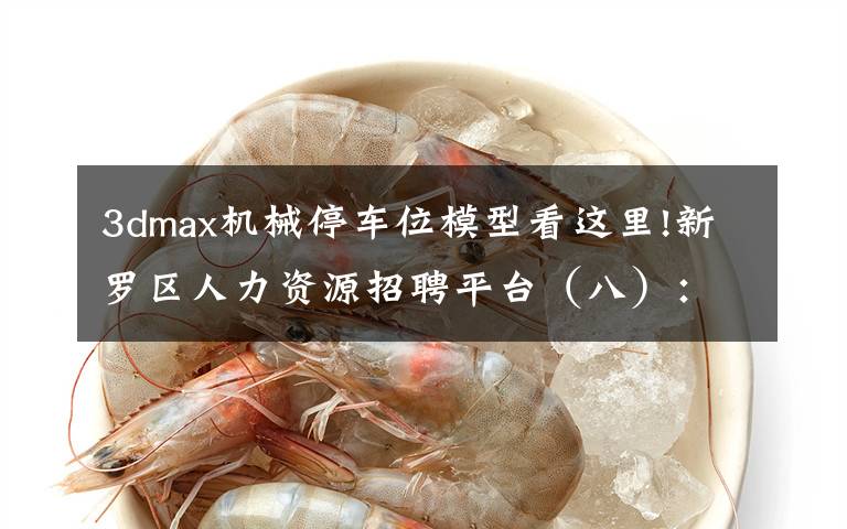 3dmax机械停车位模型看这里!新罗区人力资源招聘平台（八）：天泉药业、蒂客贸易、威宏贸易