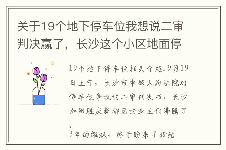 关于19个地下停车位我想说二审判决赢了，长沙这个小区地面停车位归全体业主所有