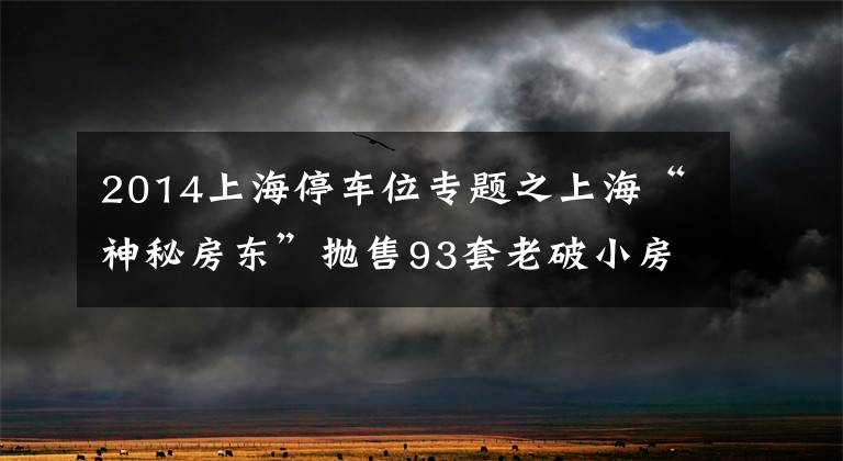 2014上海停车位专题之上海“神秘房东”抛售93套老破小房源，套现4.5亿？市民冒雨疯抢