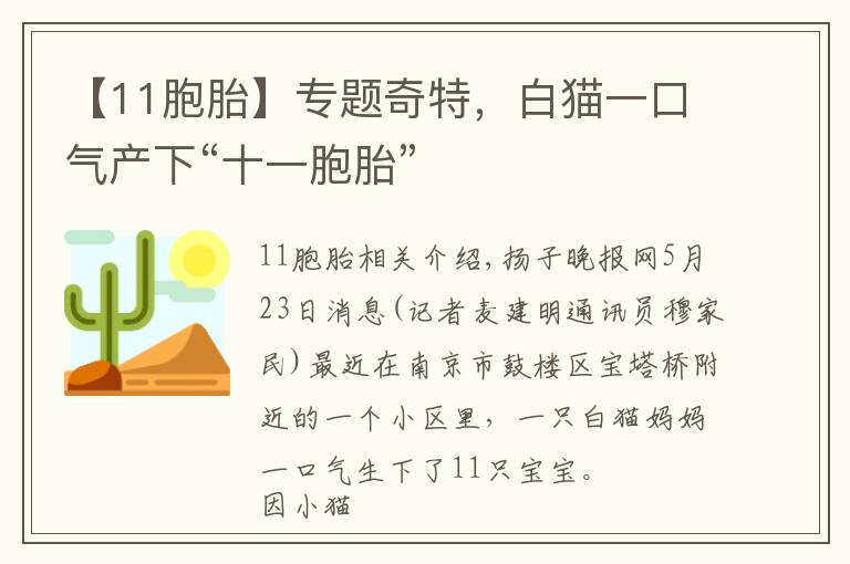 【11胞胎】专题奇特，白猫一口气产下“十一胞胎”