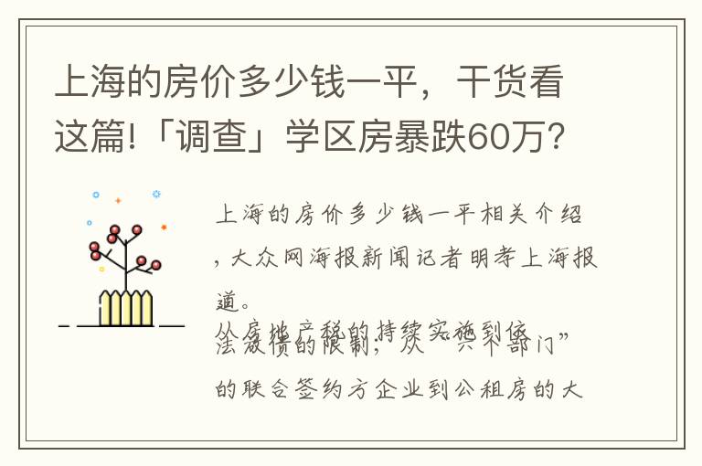 上海的房价多少钱一平，干货看这篇!「调查」学区房暴跌60万？看新政之下的上海房价现状