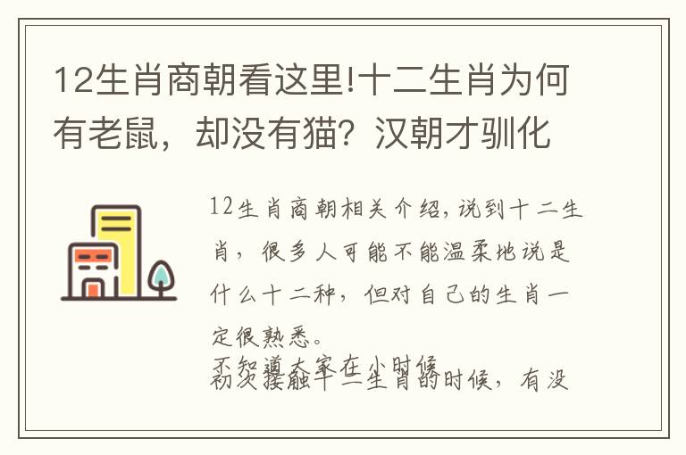 12生肖商朝看这里!十二生肖为何有老鼠，却没有猫？汉朝才驯化，时间太晚了