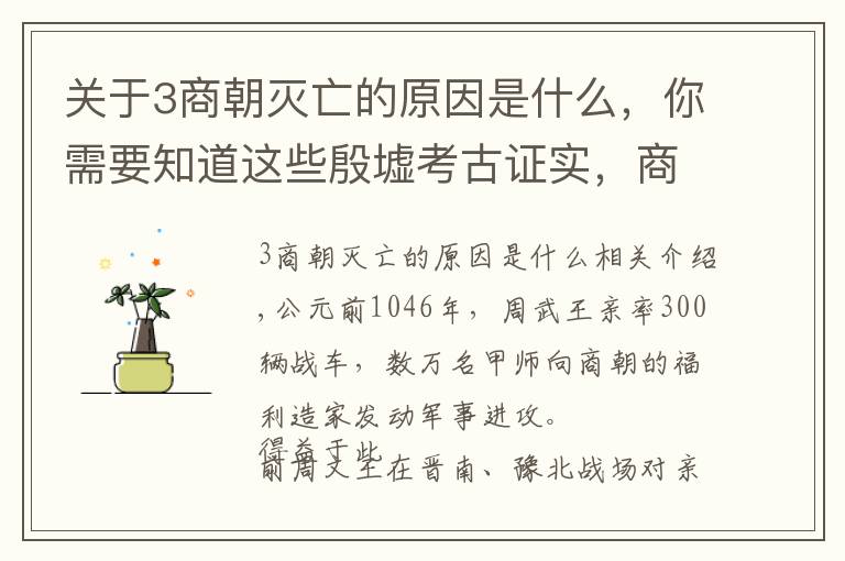 关于3商朝灭亡的原因是什么，你需要知道这些殷墟考古证实，商朝灭亡原因与秦朝出奇一致，纣王住朝歌别有用意