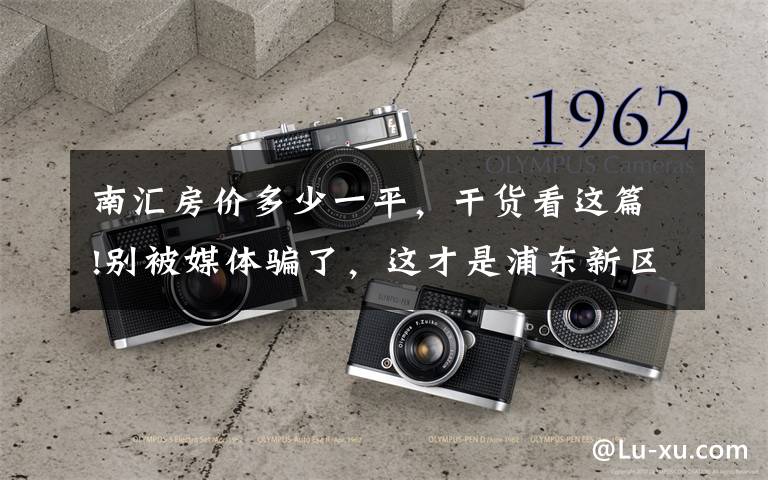 南汇房价多少一平，干货看这篇!别被媒体骗了，这才是浦东新区惠南的真实房价，东原逸墅小区点评