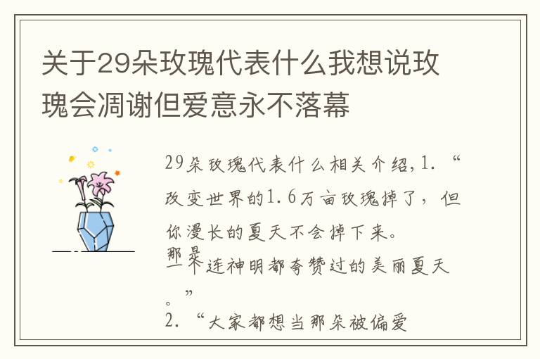 关于29朵玫瑰代表什么我想说玫瑰会凋谢但爱意永不落幕