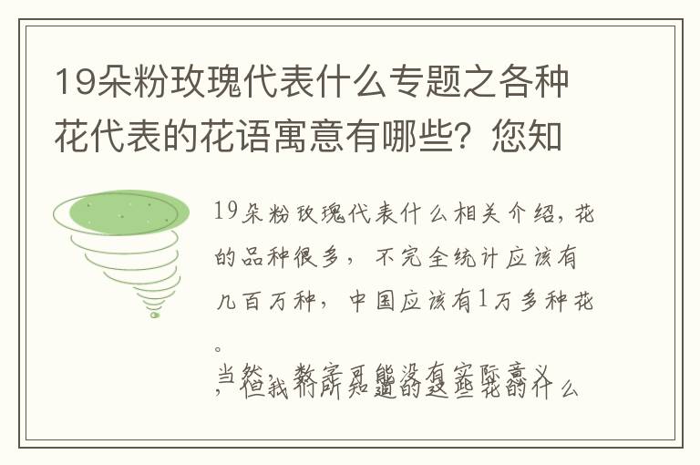 19朵粉玫瑰代表什么专题之各种花代表的花语寓意有哪些？您知道多少呢