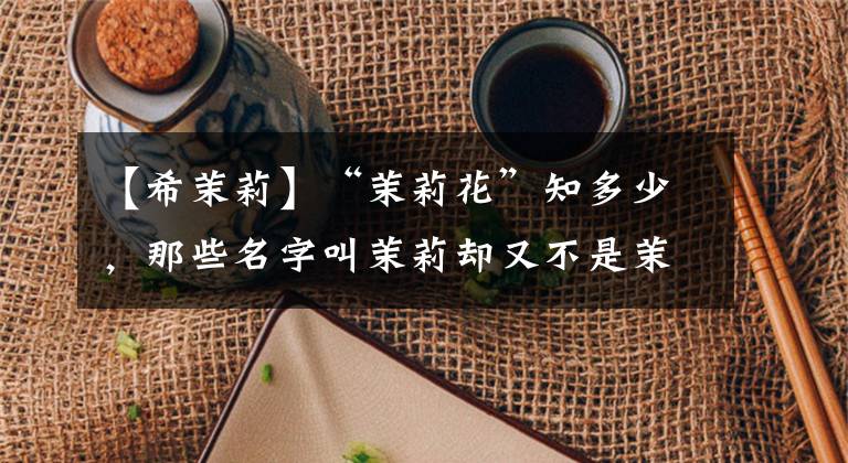 【希茉莉】“茉莉花”知多少，那些名字叫茉莉却又不是茉莉的花