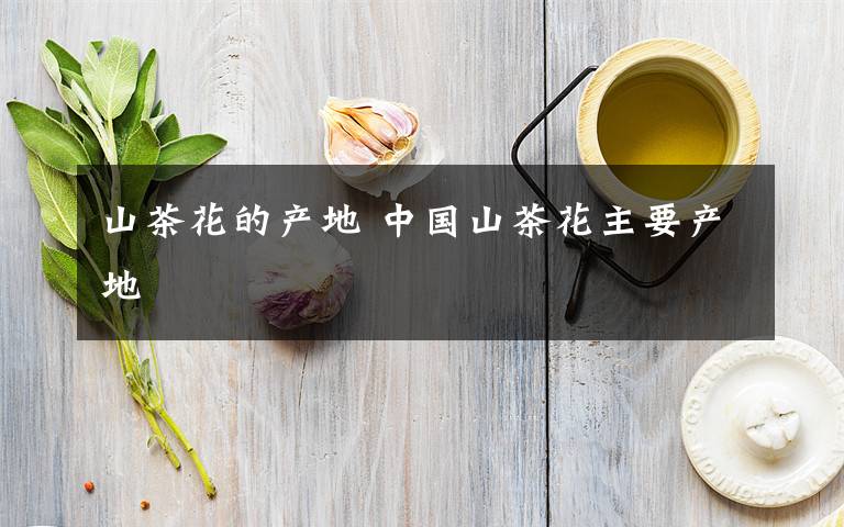 山茶花的产地 中国山茶花主要产地