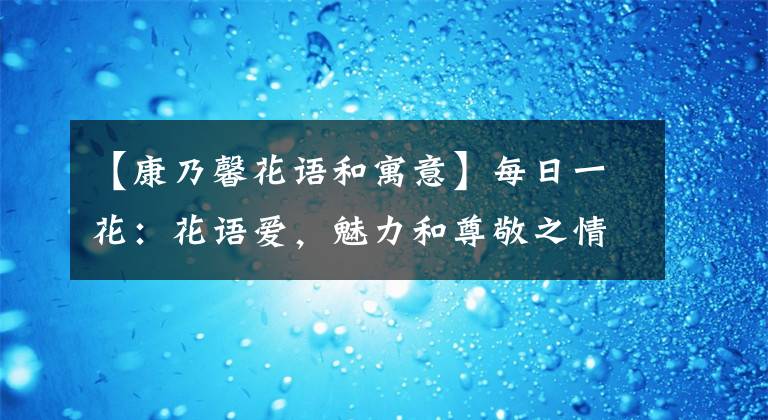 【康乃馨花语和寓意】每日一花：花语爱，魅力和尊敬之情的康乃馨，寓意母亲我爱你