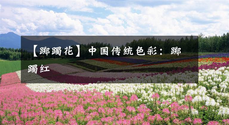 【踯躅花】中国传统色彩：踯躅红