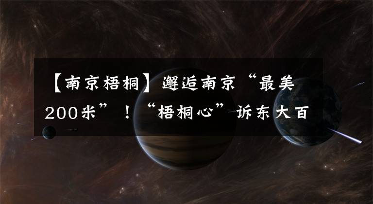 【南京梧桐】邂逅南京“最美200米”！“梧桐心”诉东大百廿情