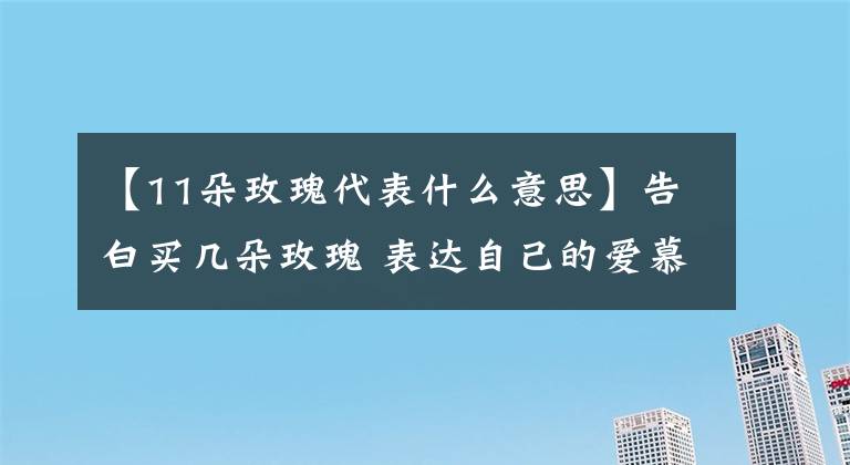 【11朵玫瑰代表什么意思】告白买几朵玫瑰 表达自己的爱慕之意