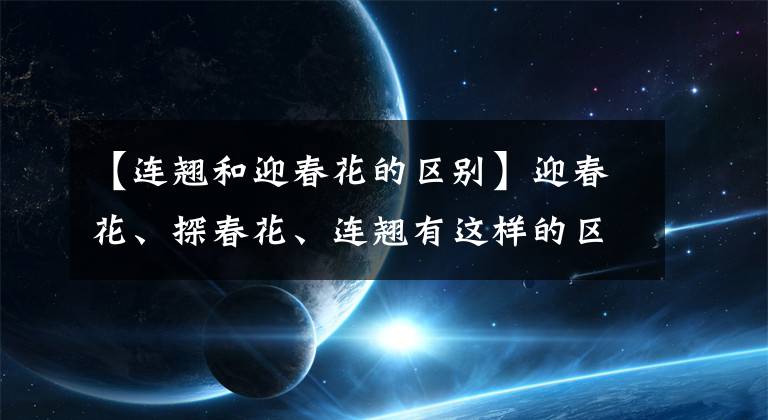 【连翘和迎春花的区别】迎春花、探春花、连翘有这样的区别，从此不会再认错