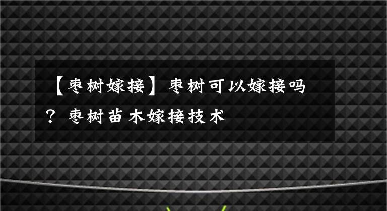 【枣树嫁接】枣树可以嫁接吗？枣树苗木嫁接技术