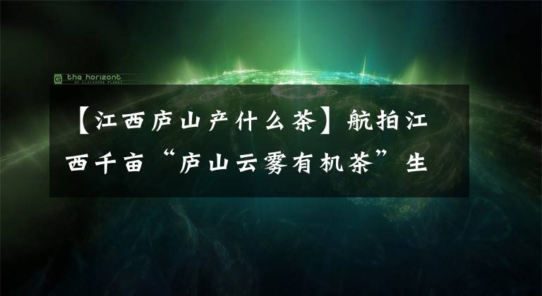 【江西庐山产什么茶】航拍江西千亩“庐山云雾有机茶”生产基地