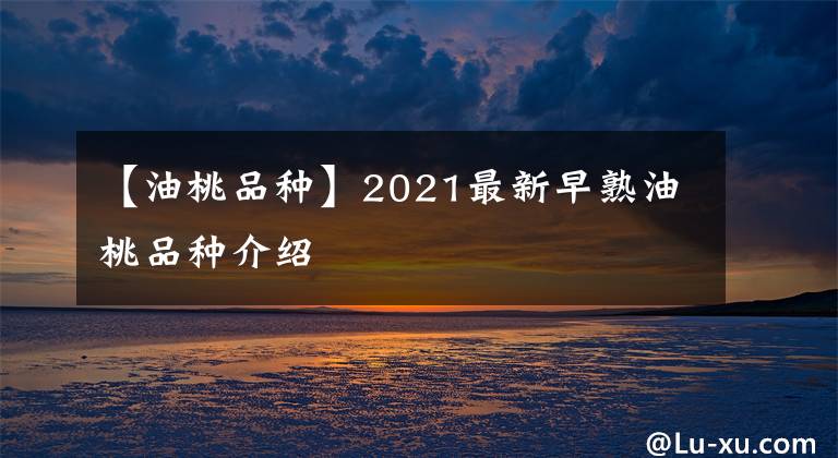 【油桃品种】2021最新早熟油桃品种介绍