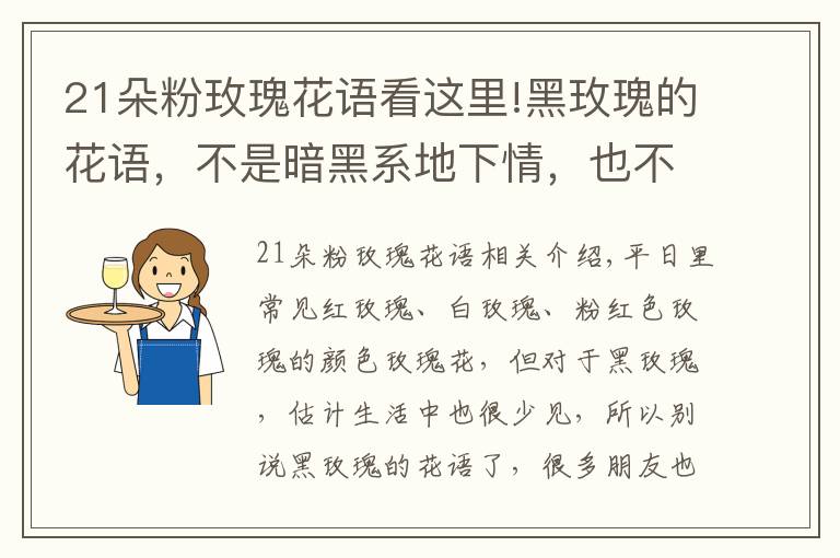 21朵粉玫瑰花语看这里!黑玫瑰的花语，不是暗黑系地下情，也不是虚伪的爱，而且温柔真心文章配图