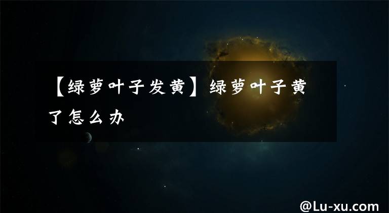 【绿萝叶子发黄】绿萝叶子黄了怎么办