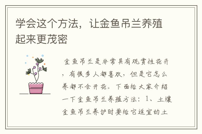 学会这个方法，让金鱼吊兰养殖起来更茂密