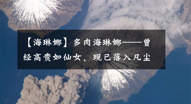 【海琳娜】多肉海琳娜——曾经高贵如仙女，现已落入凡尘，还用脸着地的姿势