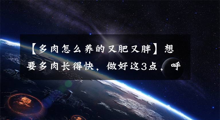 【多肉怎么养的又肥又胖】想要多肉长得快，做好这3点，呼呼窜大个，叶片胖嘟嘟长满盆