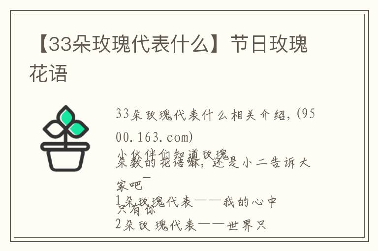 【33朵玫瑰代表什么】节日玫瑰花语